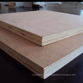 specializing in the production of high quality of poplar4*8 feet Plywood